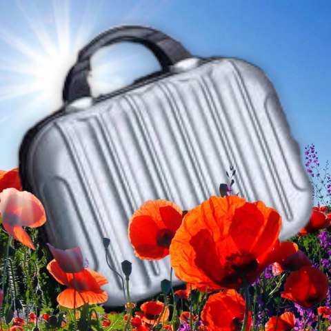 Kuferek Kosmetyczny Fryzjerski Torba Podróżna Velle Pro